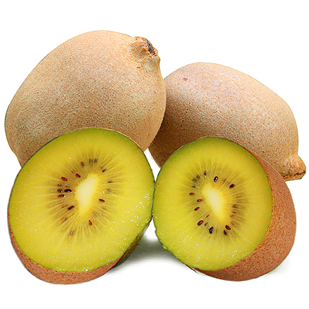 开云体育官方入口产品中心四